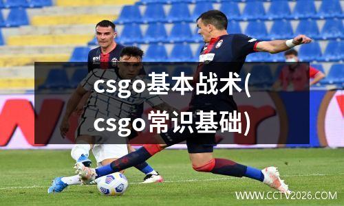 csgo基本战术(csgo常识基础)