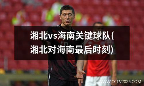 湘北vs海南关键球队(湘北对海南最后时刻)