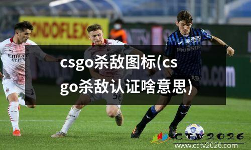 csgo杀敌图标(csgo杀敌认证啥意思)