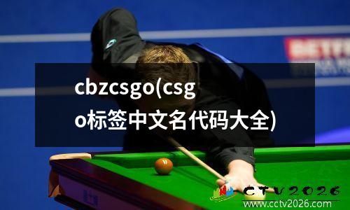 cbzcsgo(csgo标签中文名代码大全)