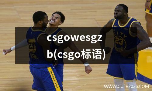 csgowesgzb(csgo标语)