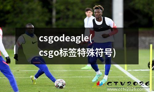csgodeagle(csgo标签特殊符号)