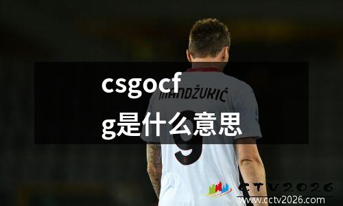 csgocfg是什么意思