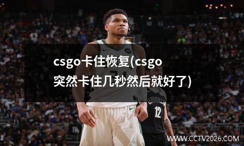 csgo卡住恢复(csgo突然卡住几秒然后就好了)
