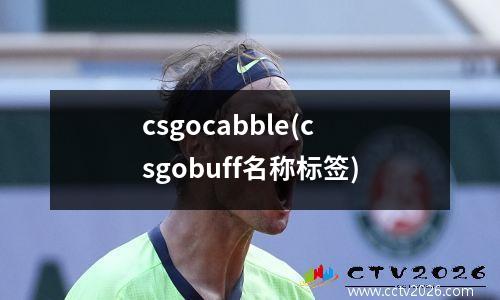 巴西vs韩国第一个球队(巴西对韩国热身赛)