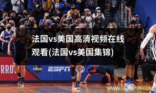 法国vs美国高清视频在线观看(法国vs美国集锦)