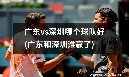 广东vs深圳哪个球队好(广东和深圳谁赢了)