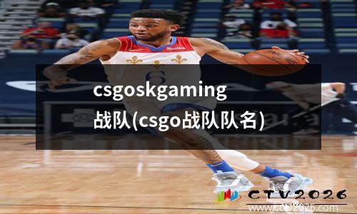 csgoskgaming战队(csgo战队队名)