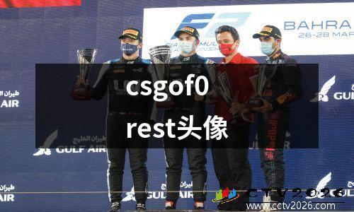 csgof0rest头像