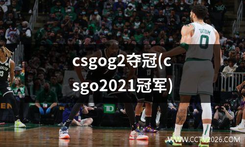 csgog2夺冠(csgo2021冠军)