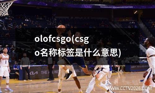 olofcsgo(csgo名称标签是什么意思)