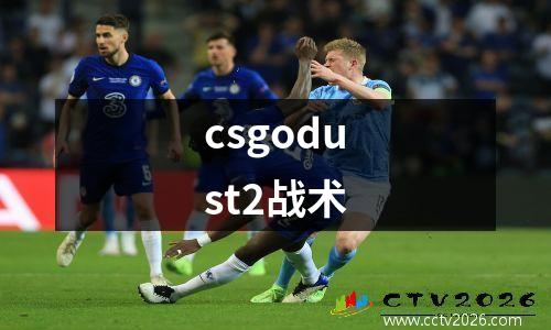 csgodust2战术