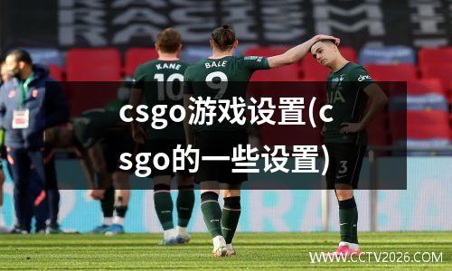 csgo游戏设置(csgo的一些设置)