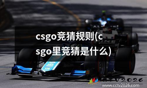 csgo竞猜规则(csgo里竞猜是什么)