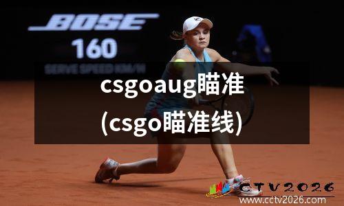 csgoaug瞄准(csgo瞄准线)