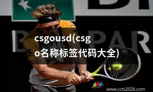 csgousd(csgo名称标签代码大全)