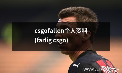csgofallen个人资料(farlig csgo)
