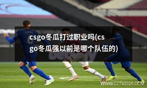 csgo冬瓜打过职业吗(csgo冬瓜强以前是哪个队伍的)