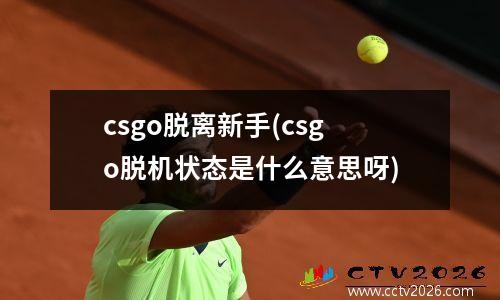 csgo脱离新手(csgo脱机状态是什么意思呀)