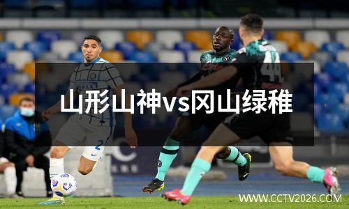 山形山神vs冈山绿稚