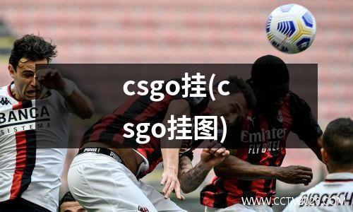 csgo挂(csgo挂图)