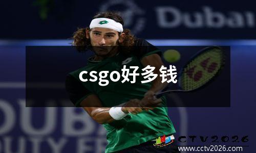 csgo好多钱