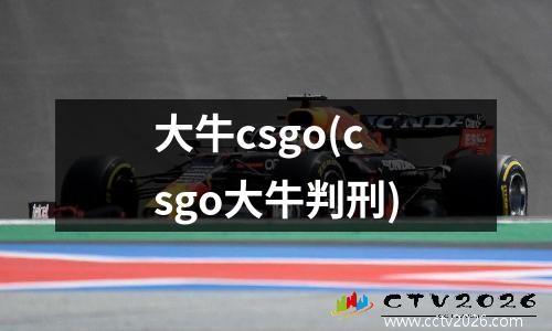 大牛csgo(csgo大牛判刑)