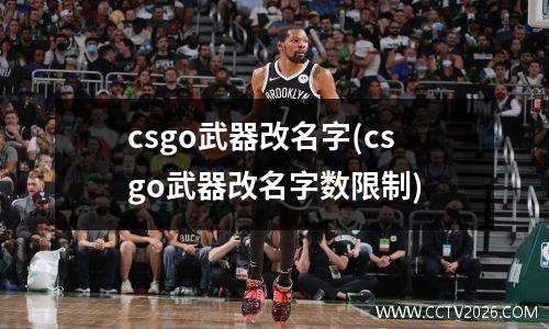 csgo武器改名字(csgo武器改名字数限制)