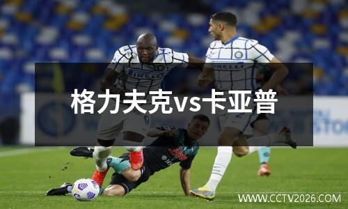 格力夫克vs卡亚普