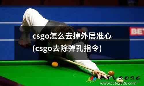 csgo怎么去掉外层准心(csgo去除弹孔指令)