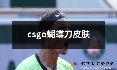 csgo蝴蝶刀皮肤