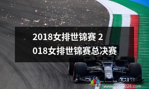 2018女排世锦赛 2018女排世锦赛总决赛