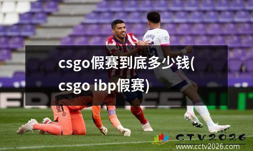 csgo假赛到底多少钱(csgo ibp假赛)