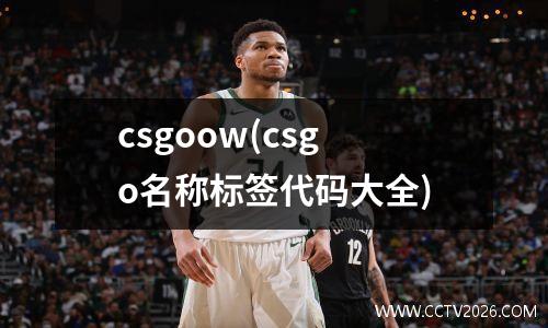 csgoow(csgo名称标签代码大全)
