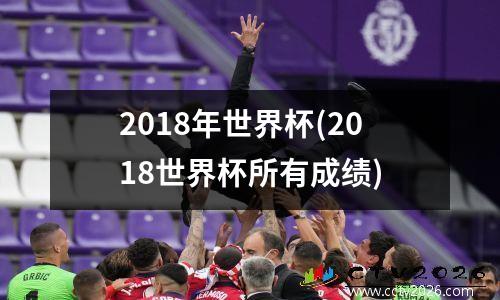 2018年世界杯(2018世界杯所有成绩)