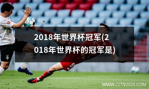 2018年世界杯冠军(2018年世界杯的冠军是)