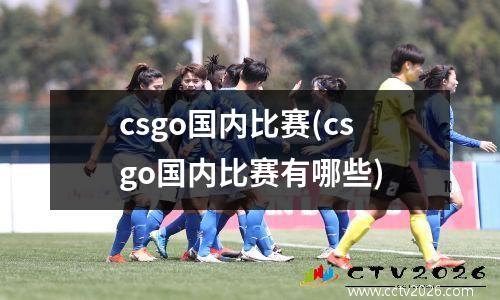 csgo国内比赛(csgo国内比赛有哪些)