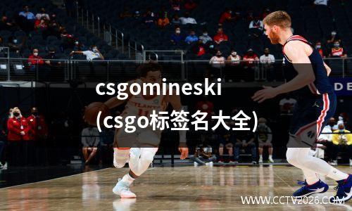 csgomineski(csgo标签名大全)