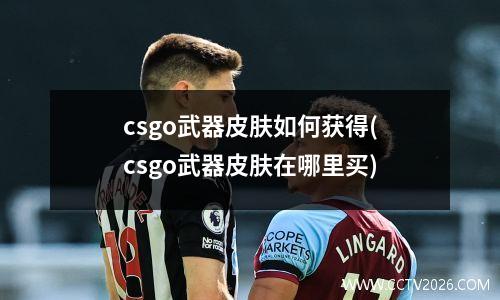 csgo武器皮肤如何获得(csgo武器皮肤在哪里买)
