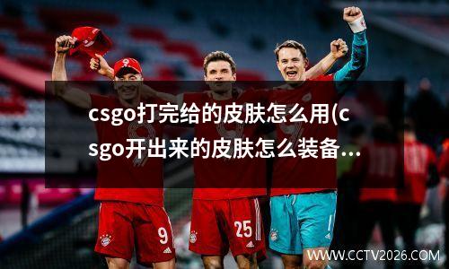 csgo打完给的皮肤怎么用(csgo开出来的皮肤怎么装备)