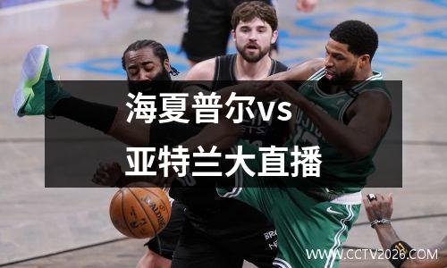 海夏普尔vs亚特兰大直播