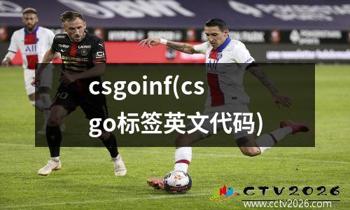 csgoinf(csgo标签英文代码)