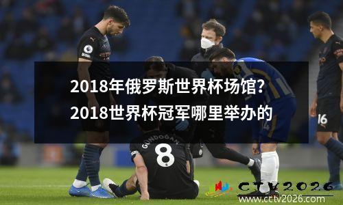 2018年俄罗斯世界杯场馆？2018世界杯冠军哪里举办的
