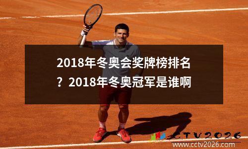 2018年冬奥会奖牌榜排名？2018年冬奥冠军是谁啊