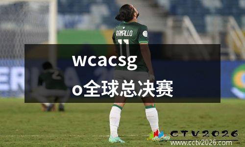 wcacsgo全球总决赛