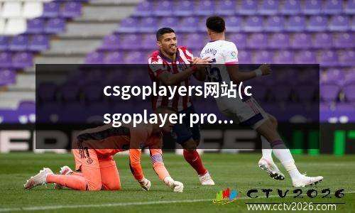 csgoplayers网站(csgoplayer profile)