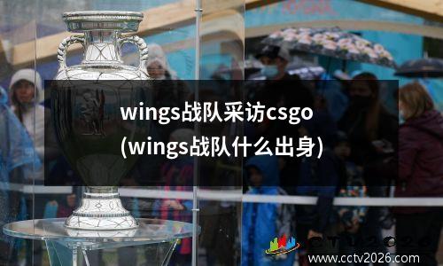 wings战队采访csgo(wings战队什么出身)