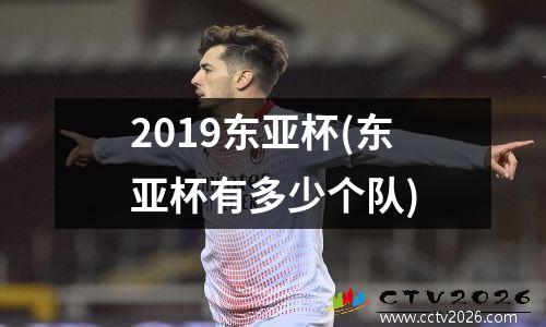 2019东亚杯(东亚杯有多少个队)