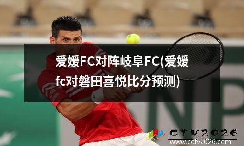 爱媛FC对阵岐阜FC(爱媛fc对磐田喜悦比分预测)