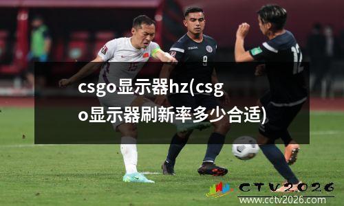 csgo显示器hz(csgo显示器刷新率多少合适)